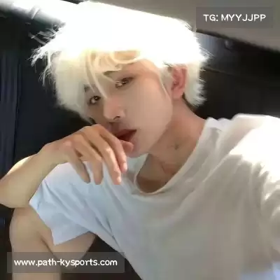 赵鸽